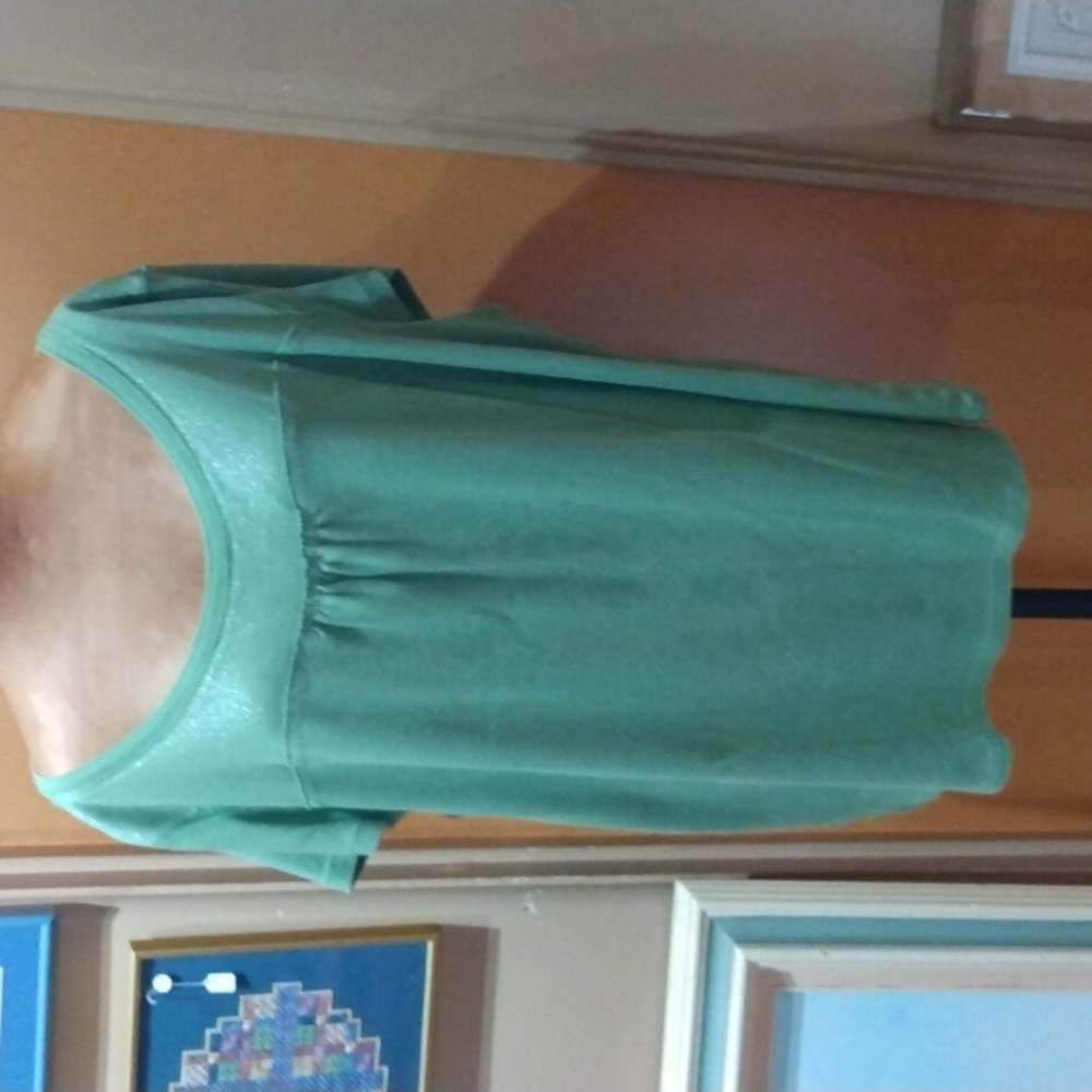 Faded Glory tunic